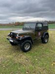 Jeep Wrangler 4.0 4WD