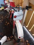 Mini cross morini 50cc.