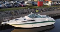 SeaRay Sundancer 250