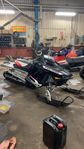 Polaris PRO rmk 800