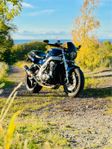 Triumph Speed Triple T509 med rätt stuk 