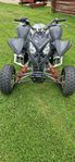 Polaris outlaw 500 irs 2006