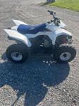 ATV Suzuki quadsport 90cc