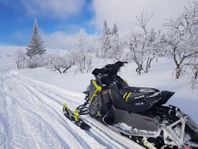 Polaris switchback pro x 800