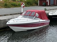 Daycruiser Wellcraft 210 Classic XL -88, bortvräkes