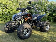 Bashan/Badboy Elite 250cc