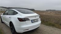 Tesla Model 3 Long Range AWD Stenskottsfolie 