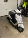 Viarelli Enzo Moped