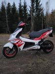 PGO G-Max 2013 klass 1 eu moped