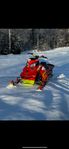 Ski-doo Freeride 800R E-tec 137 -16 