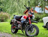 Honda Monkey MSZ 125 (Höstpris!)