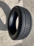 225/45 R17 94T  året runt 