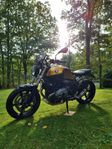 BMW 1200 R Ninet R nine T Option 719 