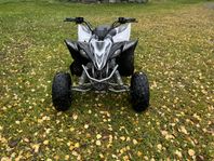 Barnfyrhjuling 110cc