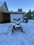 Ski-doo Freeride 850 146 2018