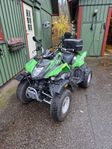 Fyrhjuling Artic Cat 250 DVX