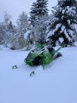 Arctic cat hardcore 162"  -16