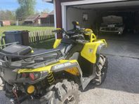 Can-am 650 XMR 2019 med plog