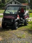 Kawasaki mule