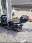 Moped SYM Jet 14 2019 Nyservad. Klass 1
