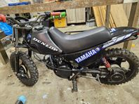 yamaha pw50