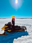 Ski Doo Summit NEO+ 146" -2023