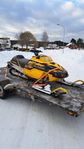 skidoo renegade 2003 med Elback