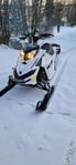 freeride 800r etec 137 2012