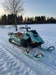 Ski-Doo Freeride 146 850 E-TEC (2024)