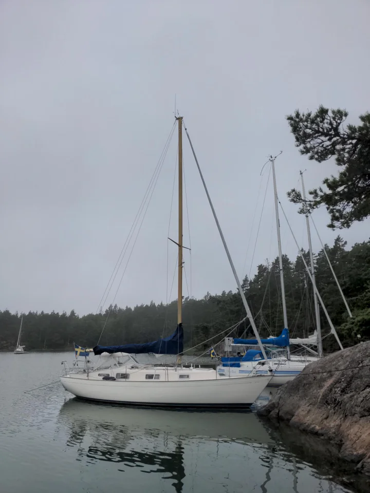 Hallberg Rassy Monsun 31 image