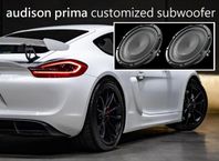 Baslåda/subwoofer Porsche Cayman