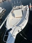 Sea ray 21 CC Laguna. Evinrude E-TEC 150