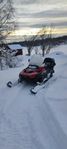 Ski-Doo expedition V-800 2010