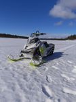 Ski-doo Freeride 800 146" 2014