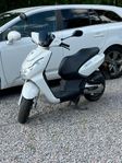 EU-Moped Peugeot