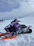 Arctic Cat Alpha One 800 2019