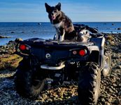 Canam XT1000 Outlander