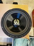 Pioneer subwoofer TS-W301