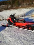 Polaris Switchback Assault maitrix 21