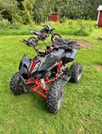 ATV Viarelli Agrezza 125cc