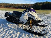 Polaris Switchback Assault 2021