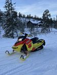 Ski-doo MXZ XRS 800 -15