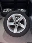 Volkswagen original vinter hjul (DUBB) 205/55R16