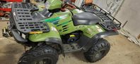 Polaris workman 500