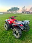 HONDA TRX680FA RINCON MED PLOG