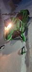 arctic cat f800 rr 2013  lättstartad 