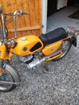 DBS sport moped