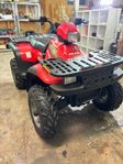 Polaris Worker 500