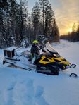 Ski Doo Skandic WT 600 ACE