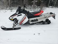 polaris switchback assault 600